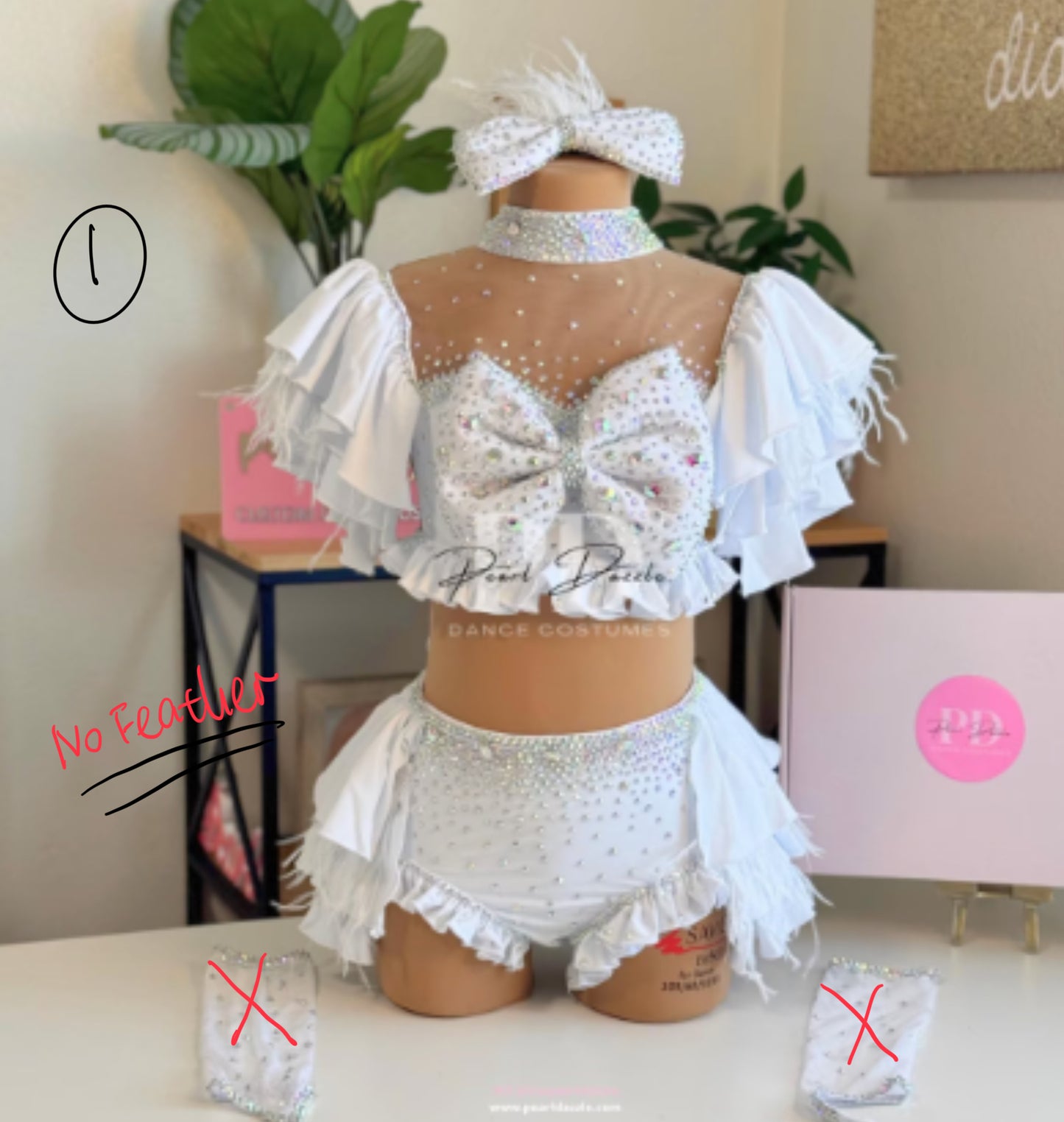 #2012(1) Booking – 10.16 White no feather costume
